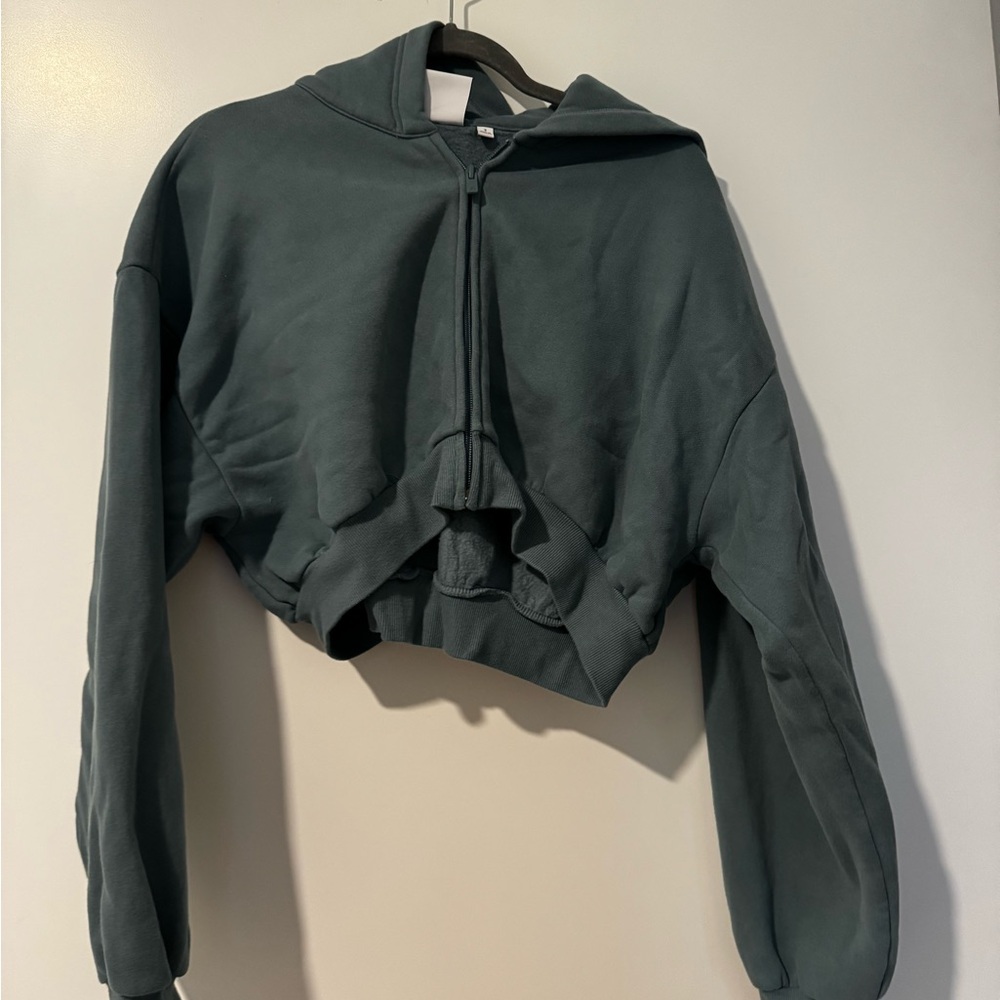 Aritzia cozy fleece Cropped Hoodie